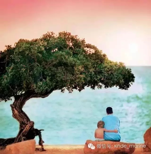 我的爸爸，他是海员。